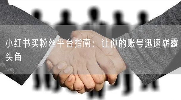 小红书买粉丝平台指南：让你的账号迅速崭露头角