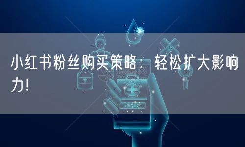 小红书粉丝购买策略:轻松扩大影响力!