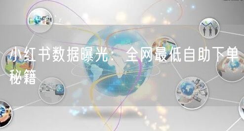 小红书数据曝光：全网最低自助下单秘籍
