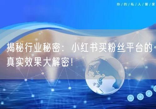 揭秘行业秘密：小红书买粉丝平台的真实效果大解密！