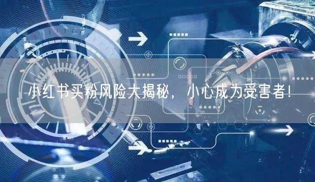 小红书买粉风险大揭秘，小心成为受害者！