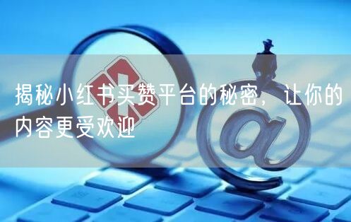 揭秘小红书买赞平台的秘密，让你的内容更受欢迎