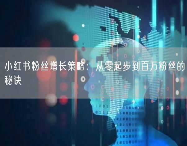 小红书粉丝增长策略：从零起步到百万粉丝的秘诀
