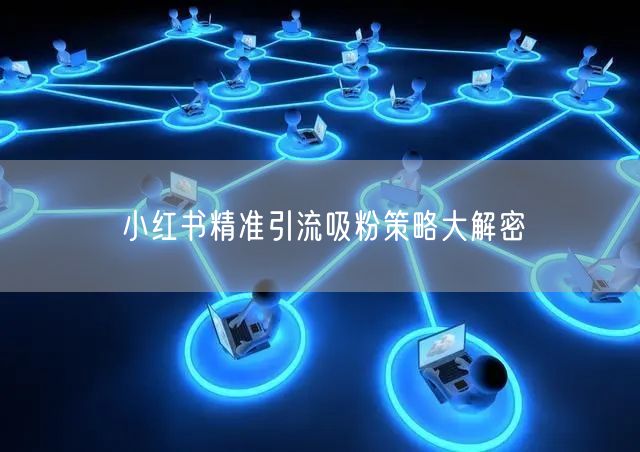 小红书精准引流吸粉策略大解密