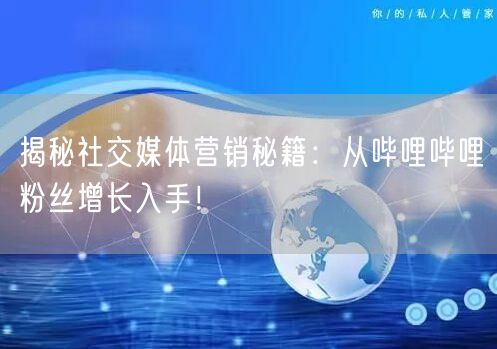揭秘社交媒体营销秘籍：从哔哩哔哩粉丝增长入手！