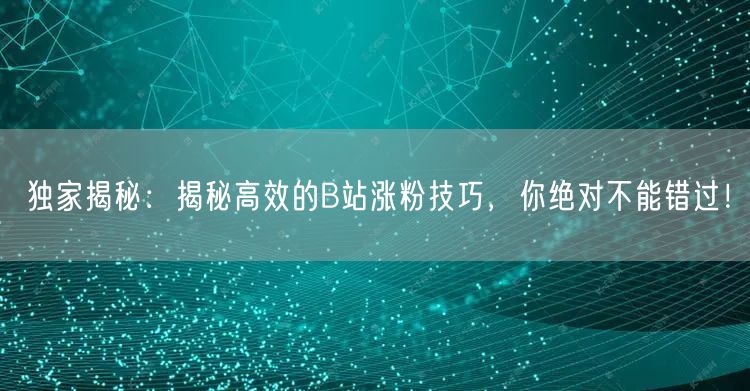 独家揭秘：揭秘高效的B站涨粉技巧，你绝对不能错过！