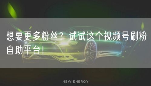 想要更多粉丝？试试这个视频号刷粉自助平台！