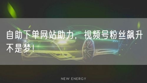 自助下单网站助力，视频号粉丝飙升不是梦！