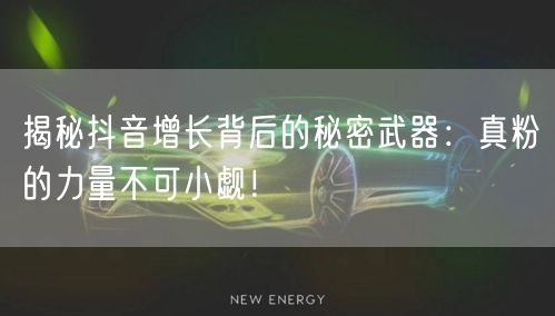 揭秘抖音增长背后的秘密武器：真粉的力量不可小觑！