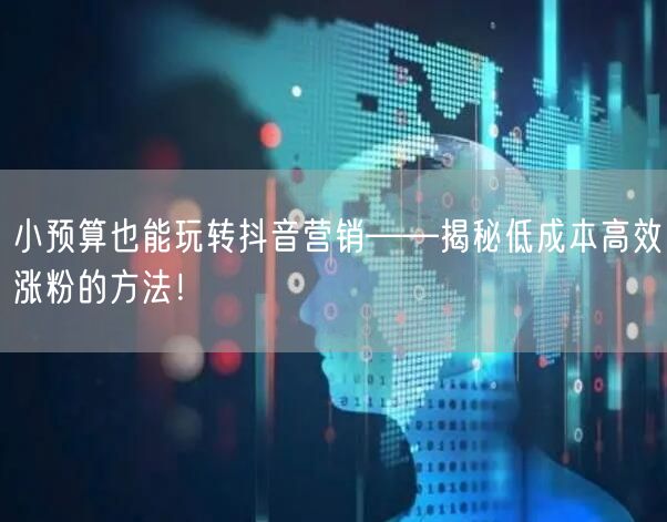 小预算也能玩转抖音营销——揭秘低成本高效涨粉的方法!