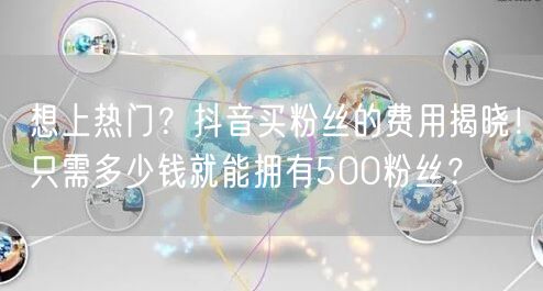 想上热门?抖音买粉丝的费用揭晓!只需多少钱就能拥有500粉丝?