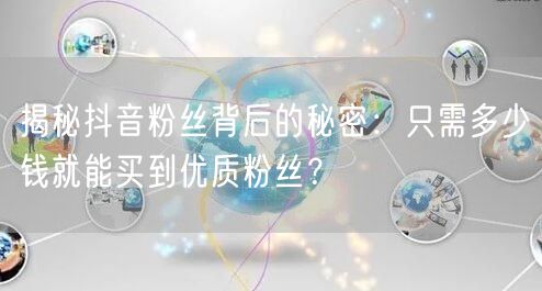 揭秘抖音粉丝背后的秘密:只需多少钱就能买到优质粉丝?