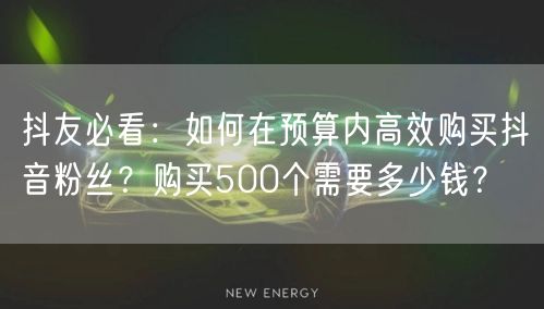 抖友必看:如何在预算内高效购买抖音粉丝?购买500个需要多少钱?