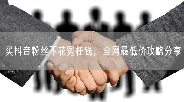 买抖音粉丝不花冤枉钱,全网最低价攻略分享