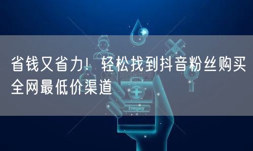 省钱又省力!轻松找到抖音粉丝购买全网最低价渠道