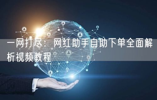 一网打尽:网红助手自助下单全面解析视频教程