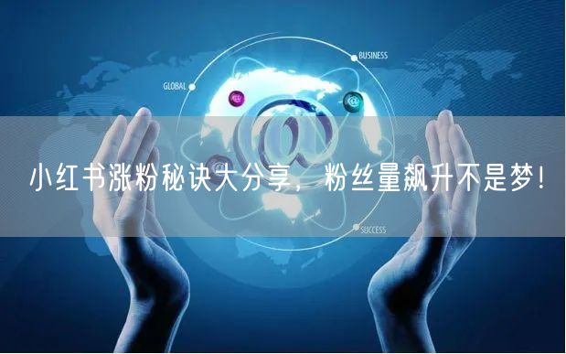 小红书涨粉秘诀大分享，粉丝量飙升不是梦！