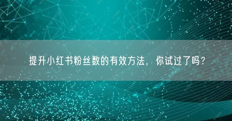 提升小红书粉丝数的有效方法，你试过了吗？