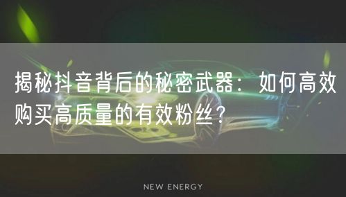 揭秘抖音背后的秘密武器:如何高效购买高质量的有效粉丝?