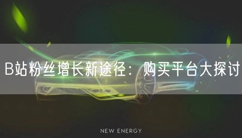 B站粉丝增长新途径:购买平台大探讨