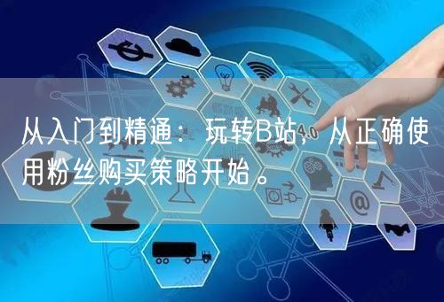 从入门到精通：玩转B站，从正确使用粉丝购买策略开始。