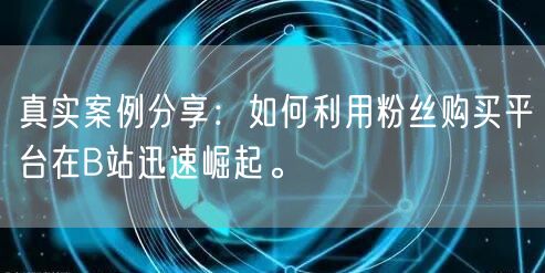 真实案例分享：如何利用粉丝购买平台在B站迅速崛起。