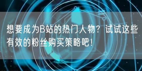 想要成为B站的热门人物？试试这些有效的粉丝购买策略吧！