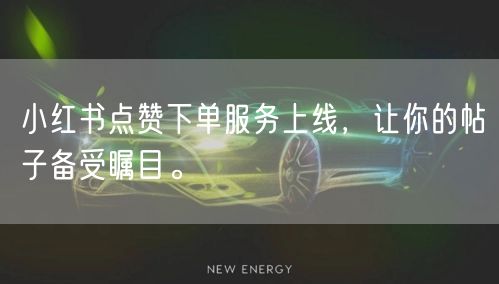 小红书点赞下单服务上线，让你的帖子备受瞩目。