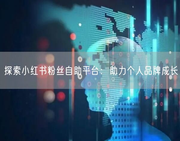 探索小红书粉丝自助平台:助力个人品牌成长
