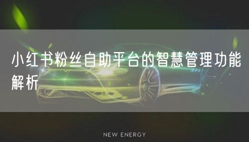 小红书粉丝自助平台的智慧管理功能解析