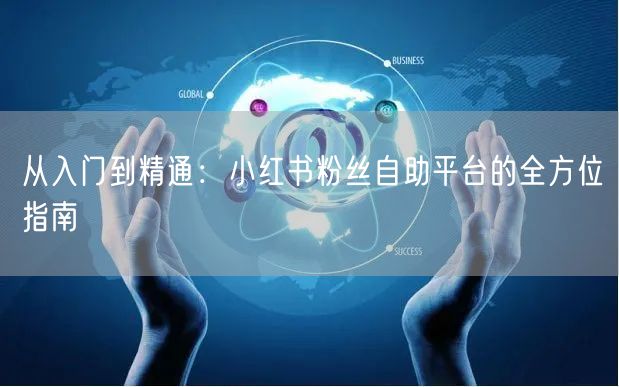从入门到精通：小红书粉丝自助平台的全方位指南